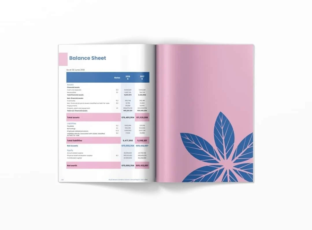 Balance sheet spread with structured financial table