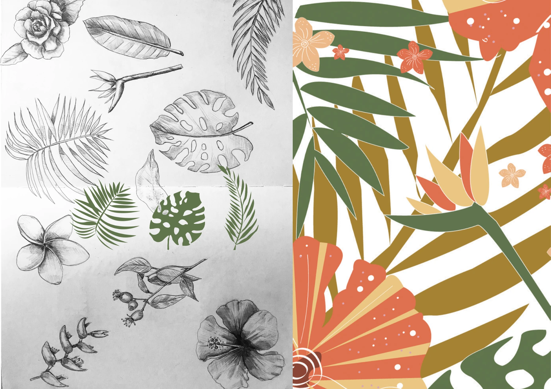 Eco Protect botanical sketches alongside the final tropical floral illustration system